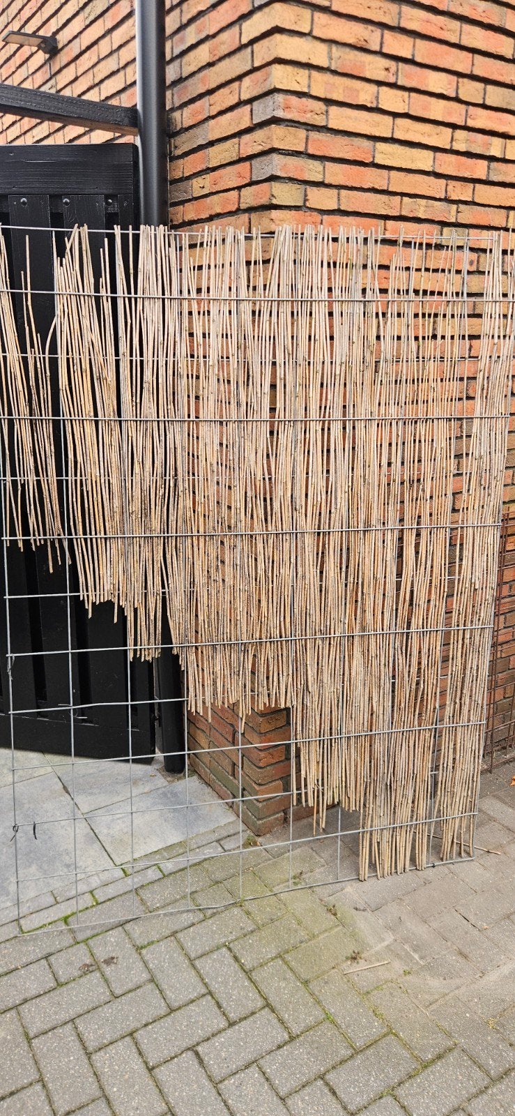 Trellis scherm, Tuin en Terras, Ophalen