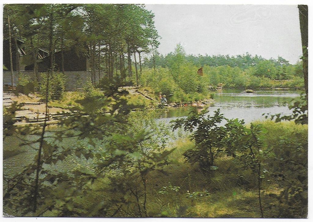 Hapert Het Vennenbos Gelopen Ansichtkaart ( C19 ), Verzenden, 1980 tot heden, Gelopen