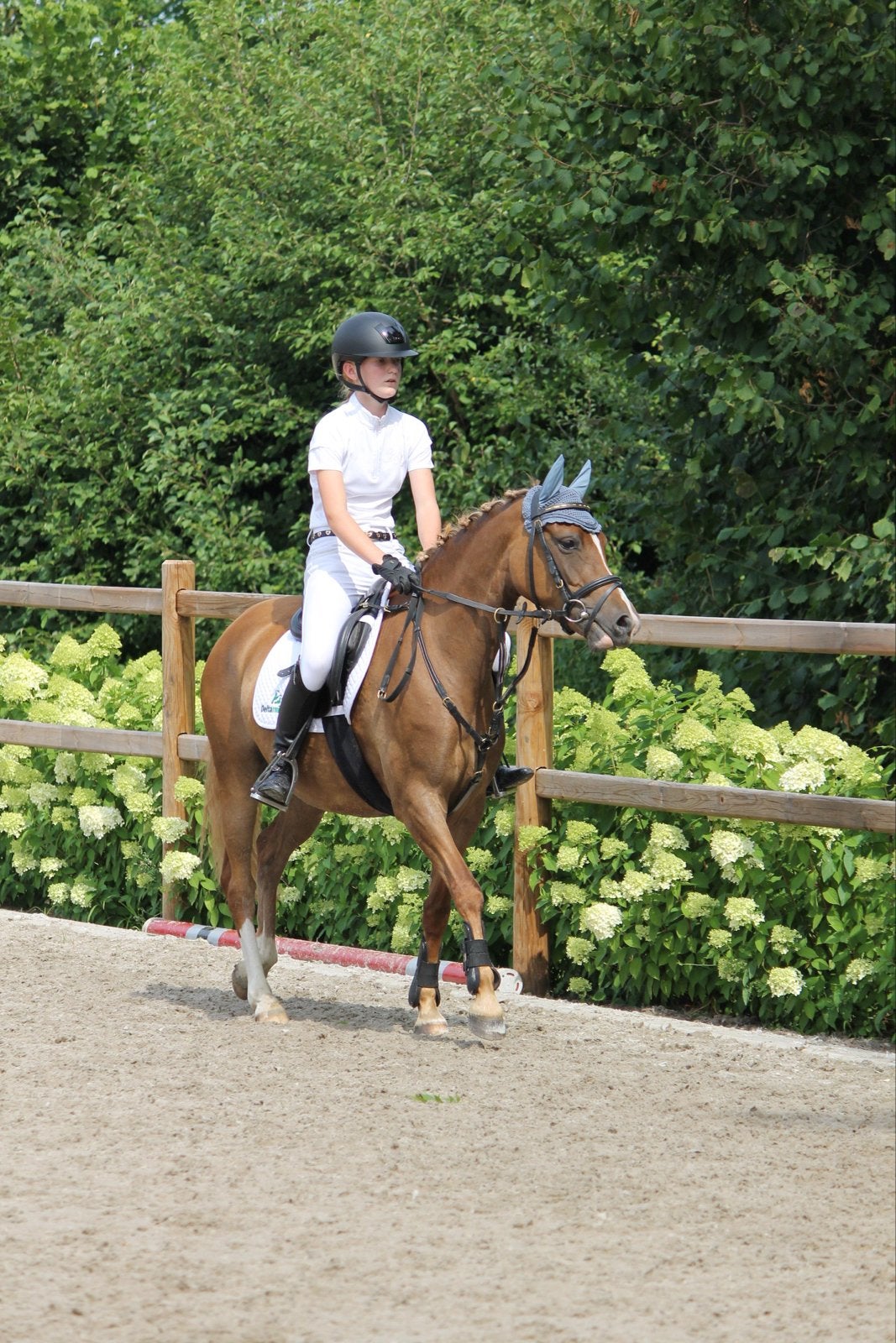 Talentvolle allround C pony te koop., Dieren en Toebehoren, Paarden, Merrie, Springpaard, Met stamboom, 3 tot 6 jaar