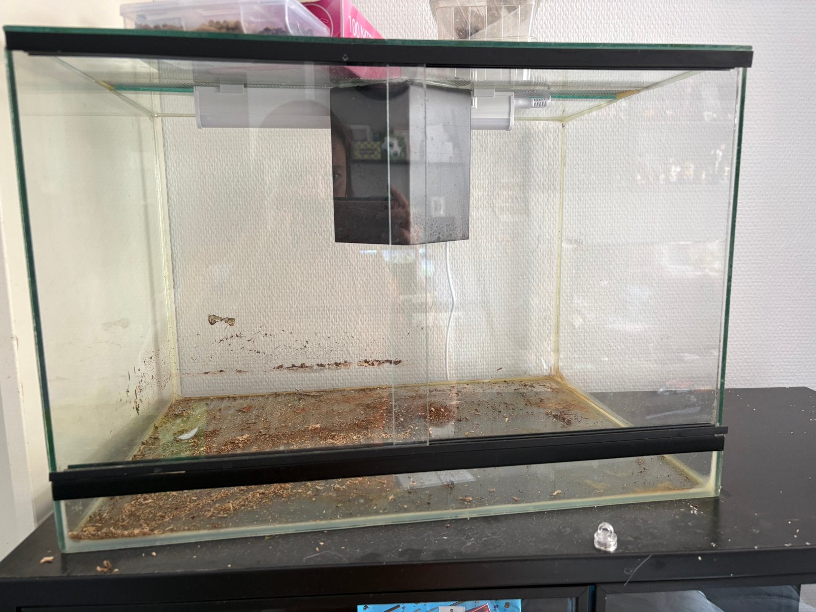 Terrarium 50x35x35, Ophalen, Zo goed als nieuw, Terrarium of Paludarium
