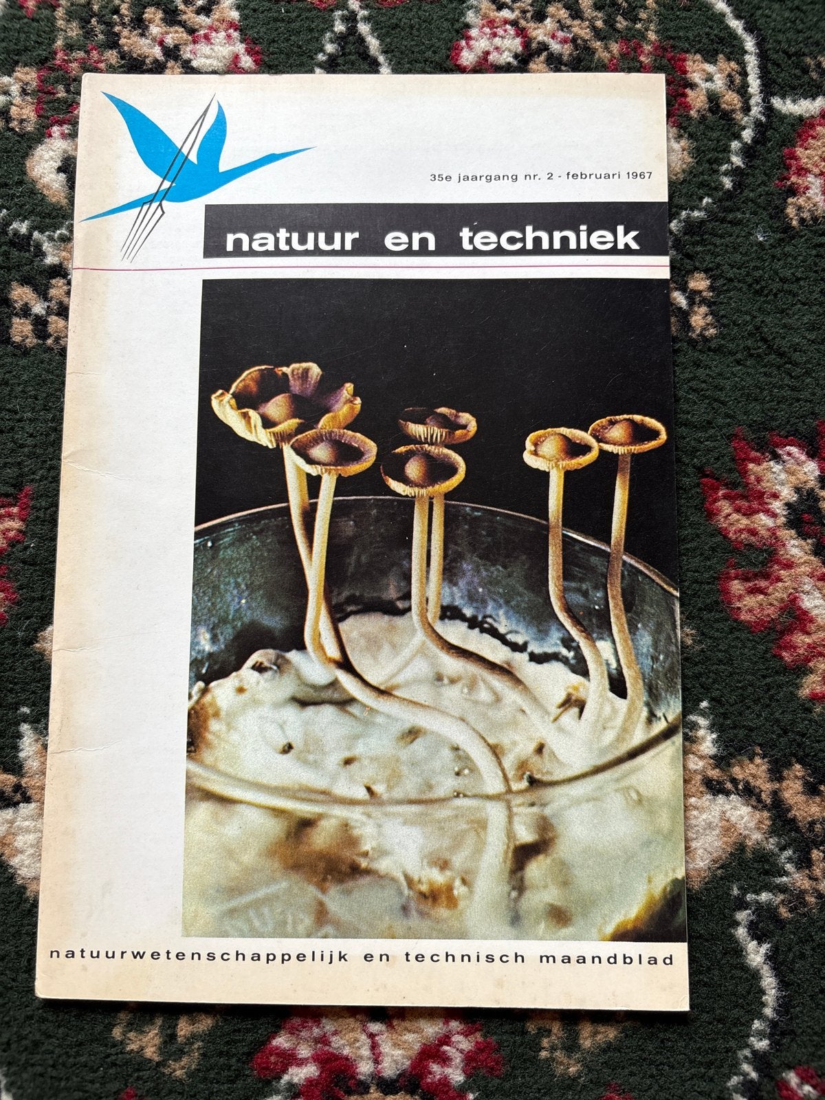 Natuur en Techniek - Februari 1967 (35e jaargang nr. 2), Boeken, Ophalen of Verzenden, Gelezen, Wetenschap en Natuur