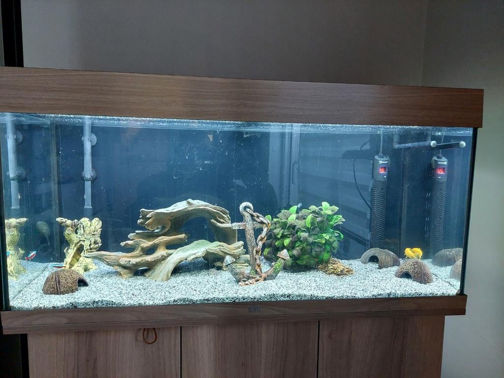 Aquarium Rio Juwel 180L met vissen inhoud ., Ophalen of Verzenden, Zo goed als nieuw, Gevuld zoetwateraquarium, Juwel
