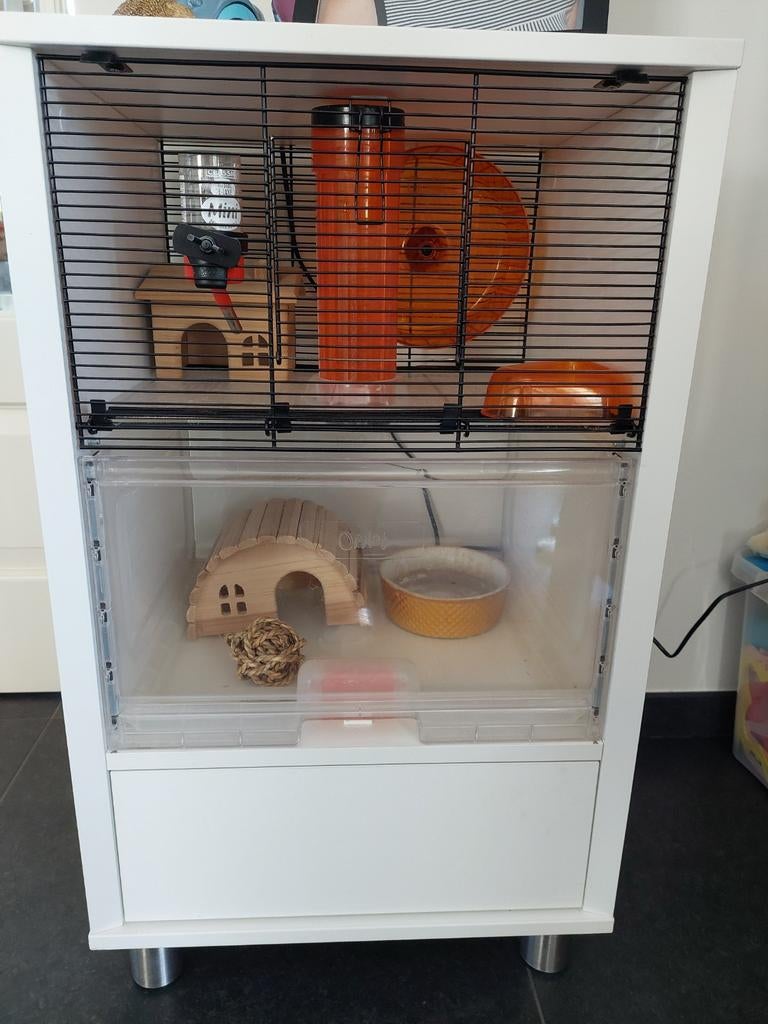 Omlet hamsterkooi, Dieren en Toebehoren, Knaagdieren en Konijnen | Hokken en Kooien, Ophalen, Minder dan 75 cm, Kooi, Minder dan 60 cm