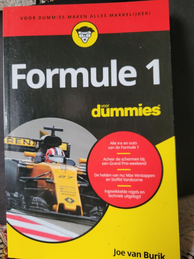 Formule 1 voor Dummies - Leer alles over F1, Boeken, Auto's | Boeken, Ophalen of Verzenden, Gelezen, Algemeen, Joe van Burik