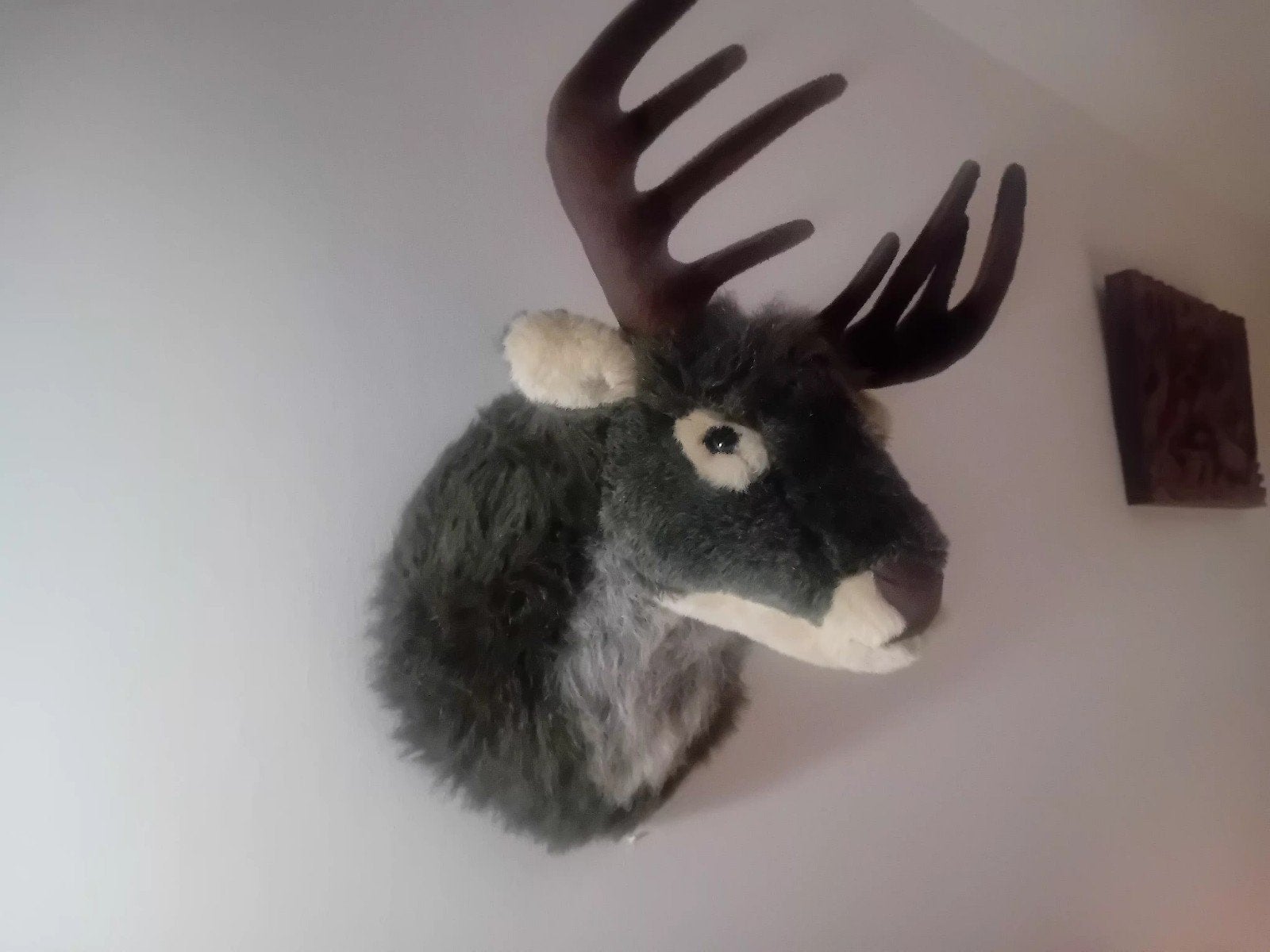 Pluche eland kop wanddecoratie, Ophalen of Verzenden