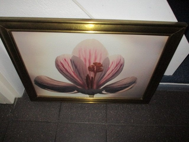 Groot gouden zware lijst schilderij als nieuw, Huis en Inrichting, Ophalen, Overige materialen, 50 tot 75 cm, Zo goed als nieuw