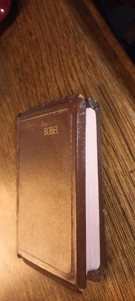 BIJBEL SV  12,5x8,5x1,5 cm in cassette, Ophalen of Verzenden, Gelezen, Christendom | Protestants