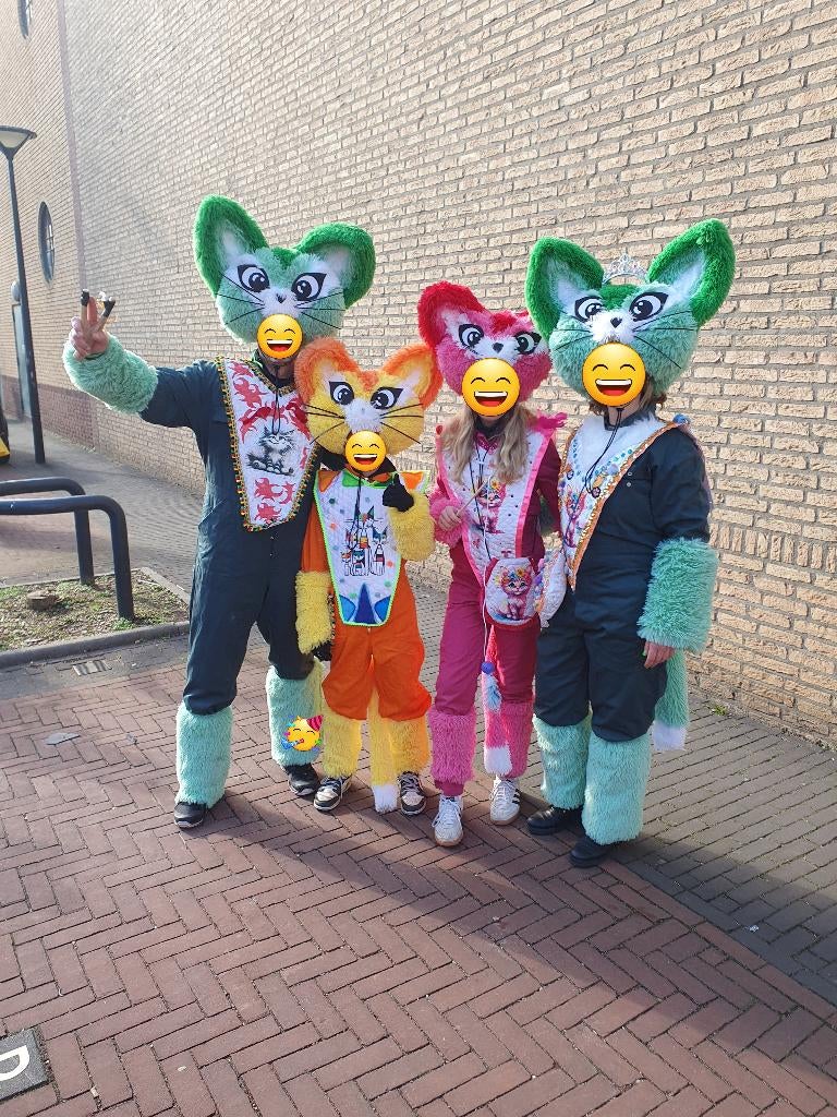 Carnaval groep kater/poes, Ophalen, Carnaval, Maat 46/48 (XL) of groter, Zo goed als nieuw