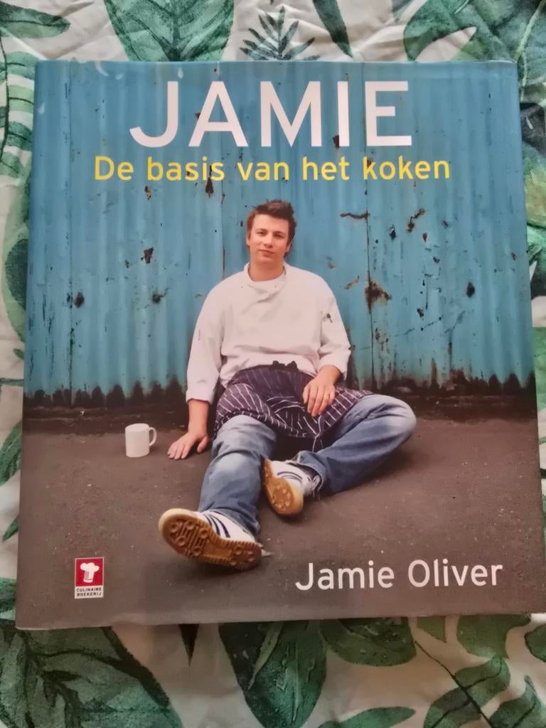 Jamie Oliver: de basis van het koken, hardcover Nederlands, Boeken, Kookboeken, Ophalen of Verzenden, Zo goed als nieuw, Jamie Oliver