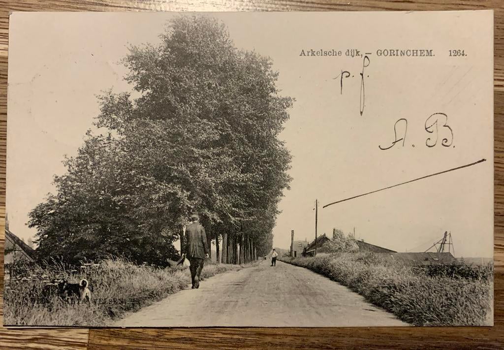 Ansichtkaart Arkelsche Dijk Gorinchem (gelopen 1903), Verzamelen, Ophalen of Verzenden, Voor 1920, Gelopen, Zuid-Holland