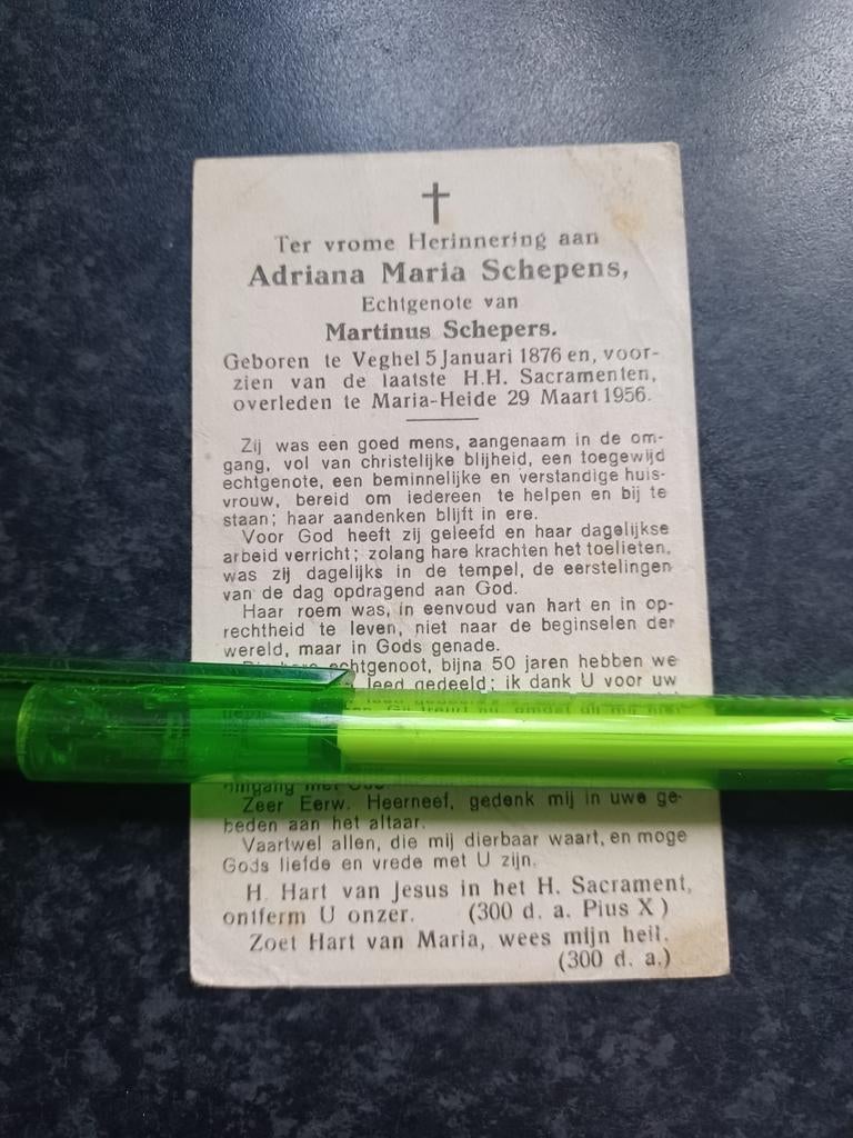 Bidprentje Veghel Maria-Heide Adriana Schepens 1876 1956, Ophalen, Bidprentje