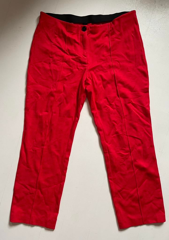 Marccain broek oranje. Maat 5, Maat 42/44 (L), Oranje, Ophalen of Verzenden, Zo goed als nieuw