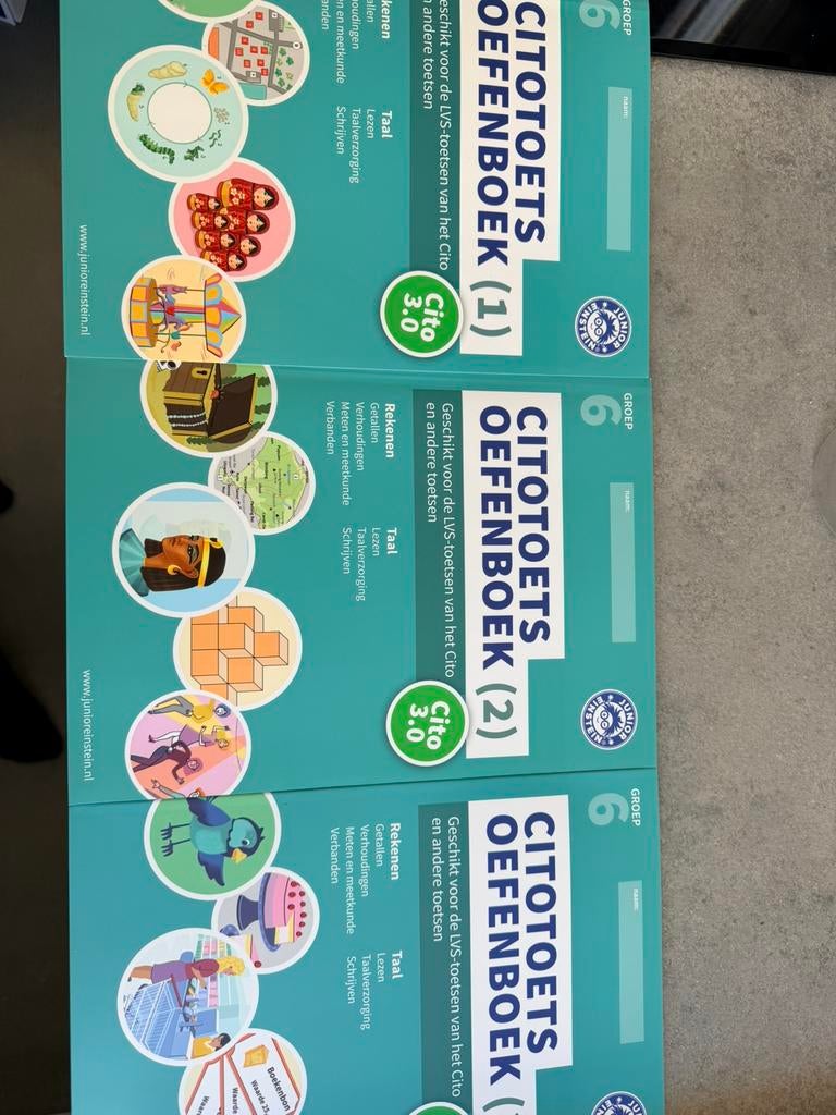Citotoets Oefenboek groep 6 (1 t/m3), Ophalen of Verzenden, Zo goed als nieuw, Overige niveaus, Nederlands