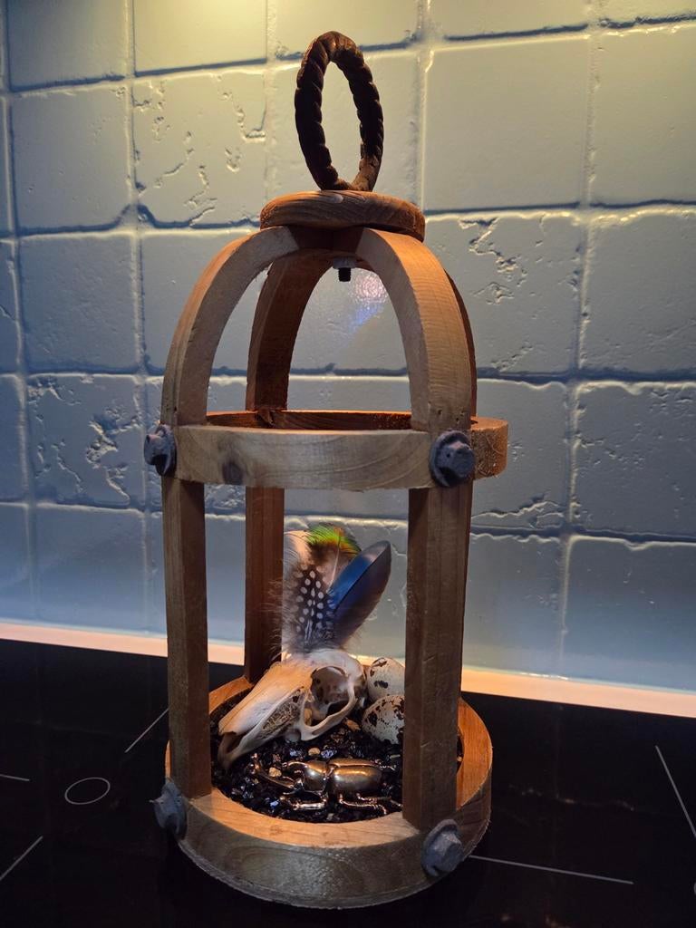 Decoratieve houten lantaarn met schedel en veren, Ophalen of Verzenden, Nieuw