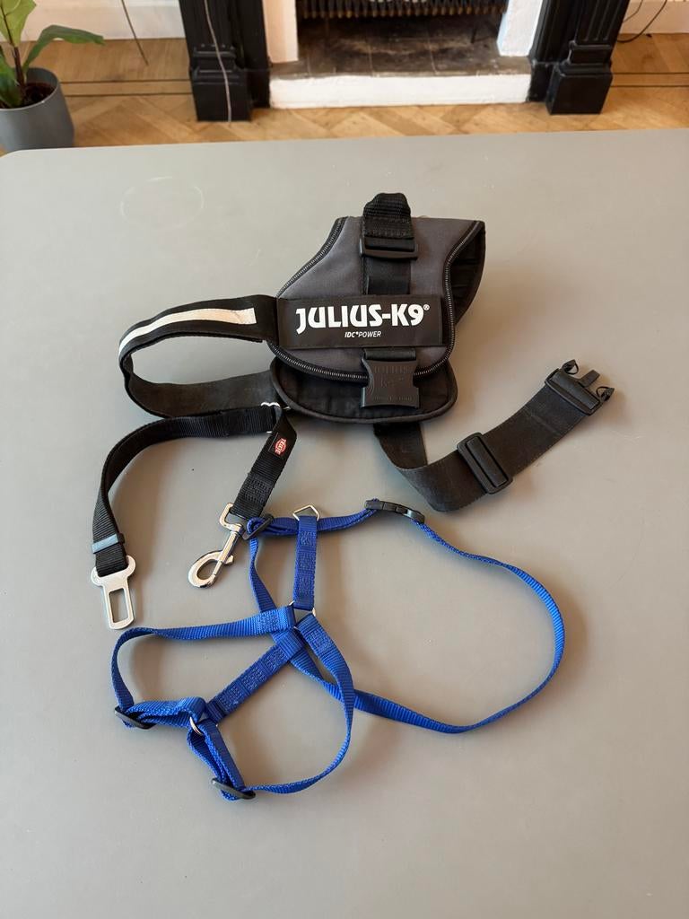 Puppy tuigje en autoriem en Julius honden tuig, Ophalen of Verzenden, Gebruikt, Hondenriem-accessoire