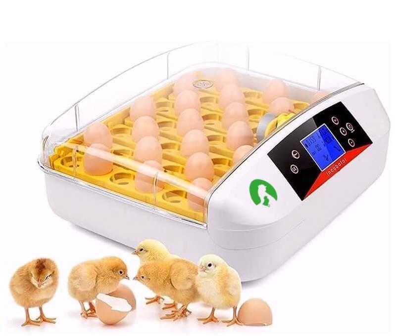 Nieuw Automatische Broedmachine 42 + GRATIS broedeieren, Verzenden, Nieuw, Broedmachine