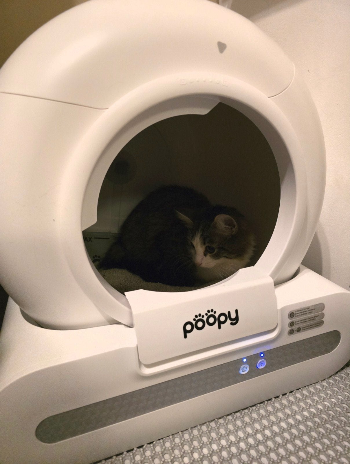 Automatische kattenbak, Dieren en Toebehoren