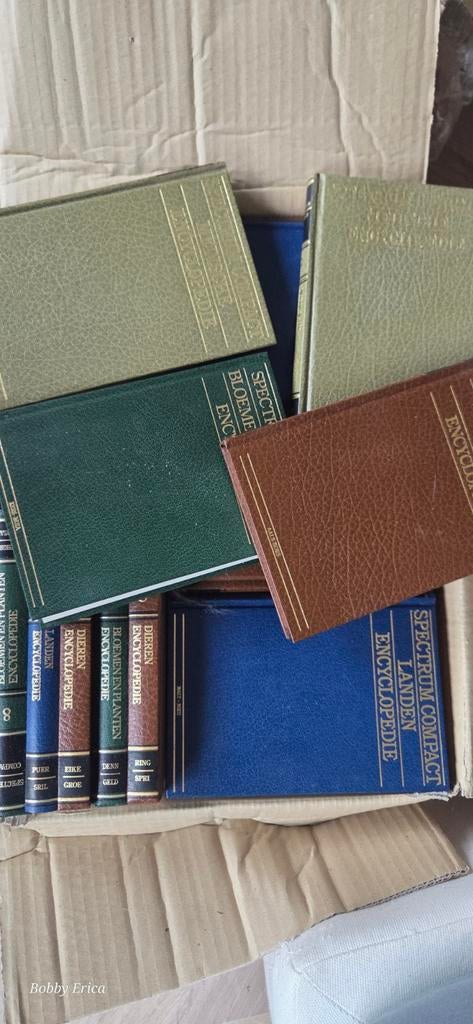 Spectrum Encyclopedieën - Diverse Delen, Boeken, Los deel, Algemeen, Diverse Auteurs, Ophalen