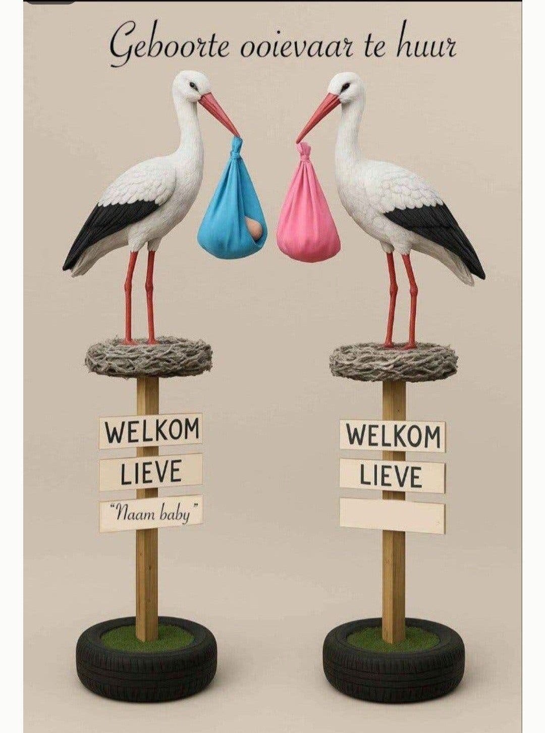 Geboorte ooievaar te huur - Welkom lieve baby, Ophalen, Gebruikt, Geboortebord
