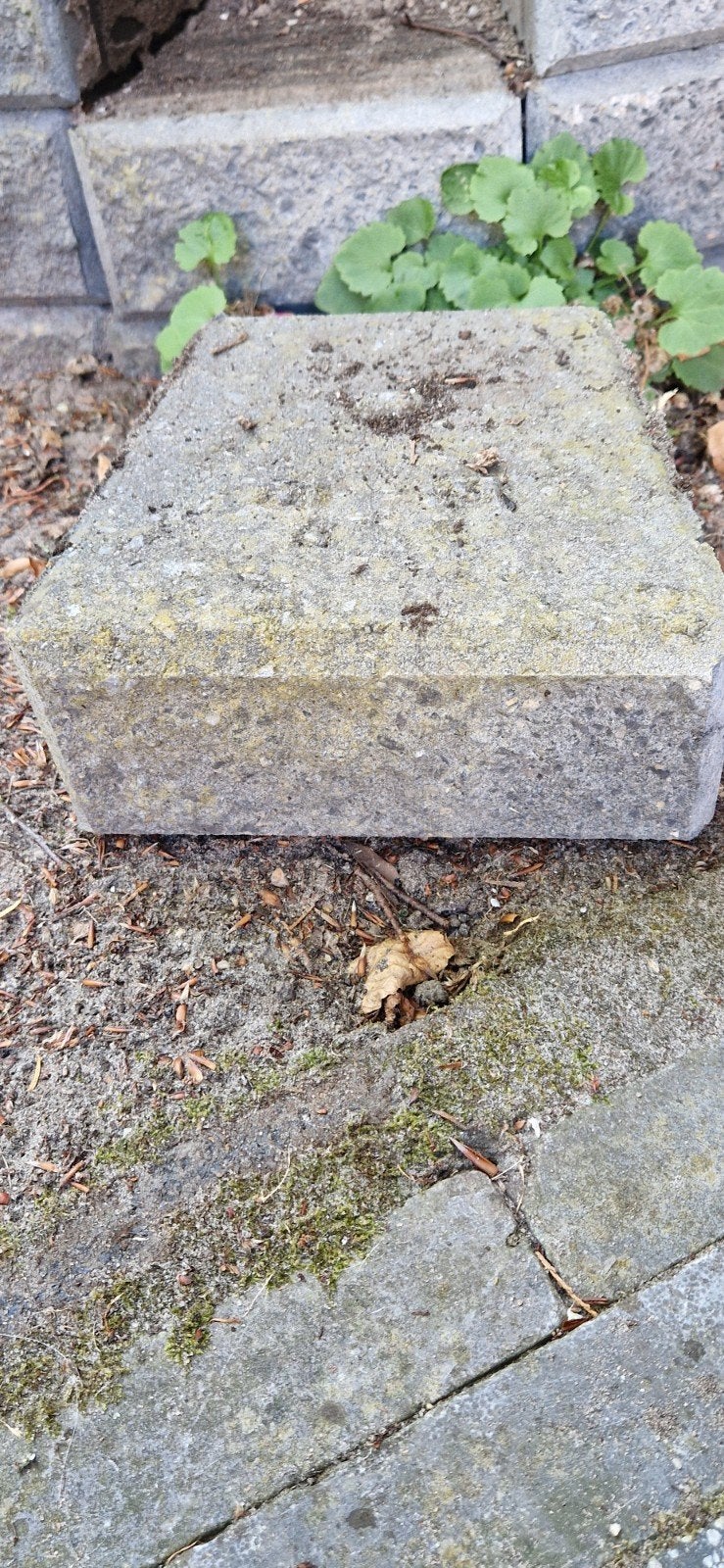 GRATIS STENEN, Tuin en Terras, Tegels en Klinkers, Ophalen, Gebruikt, Beton, Klinkers