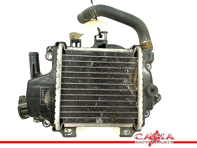 Radiateur Honda PCX 125 2013 (PCX125 JF47 ESP) (2013-01/..), Honda, Gebruikt, Hanauer Landstraße  222-224, Frankfurt am Main 60314, , Duitsland