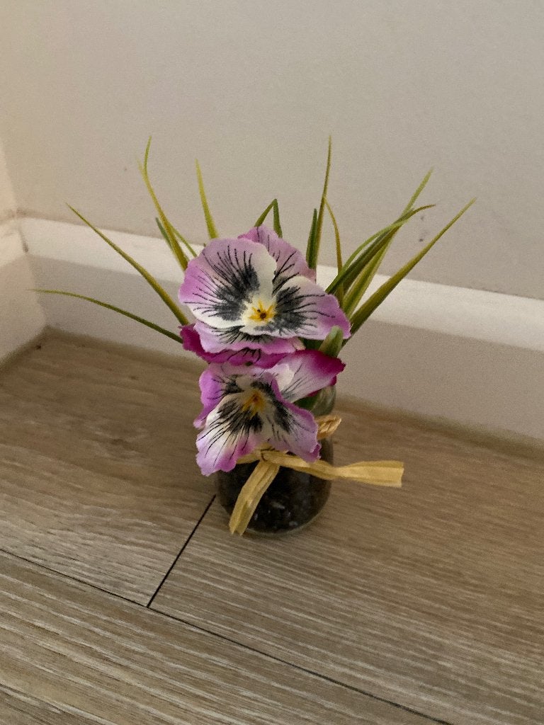 Plant supper mooi, Vaste plant, Halfschaduw, Lente, Ophalen