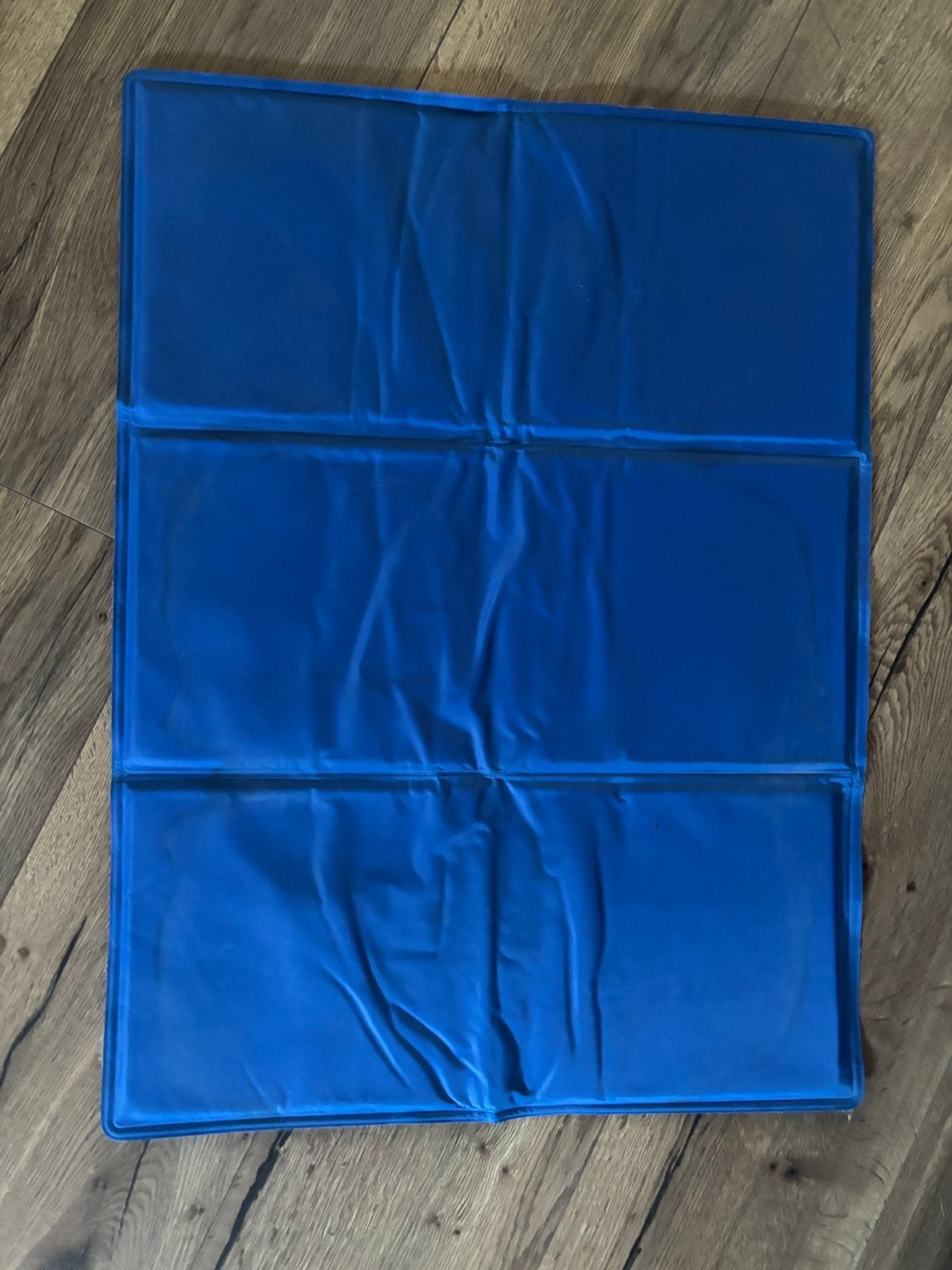 Nieuwe Koelmat voor je huisdier, Ophalen of Verzenden, Zo goed als nieuw