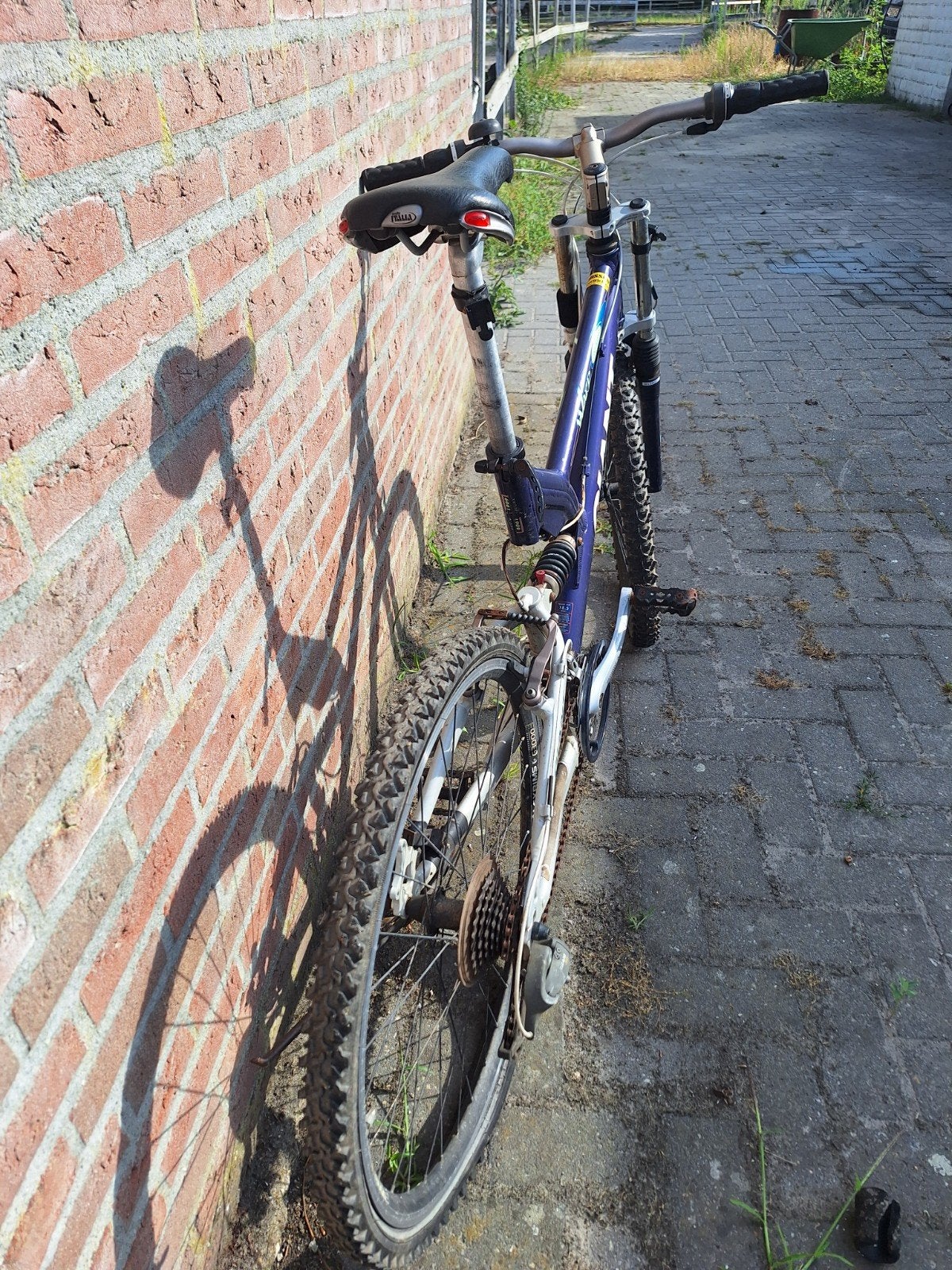 Giant mountainbike met lekke achterband, Gebruikt, Band, Mountainbike, Rubber