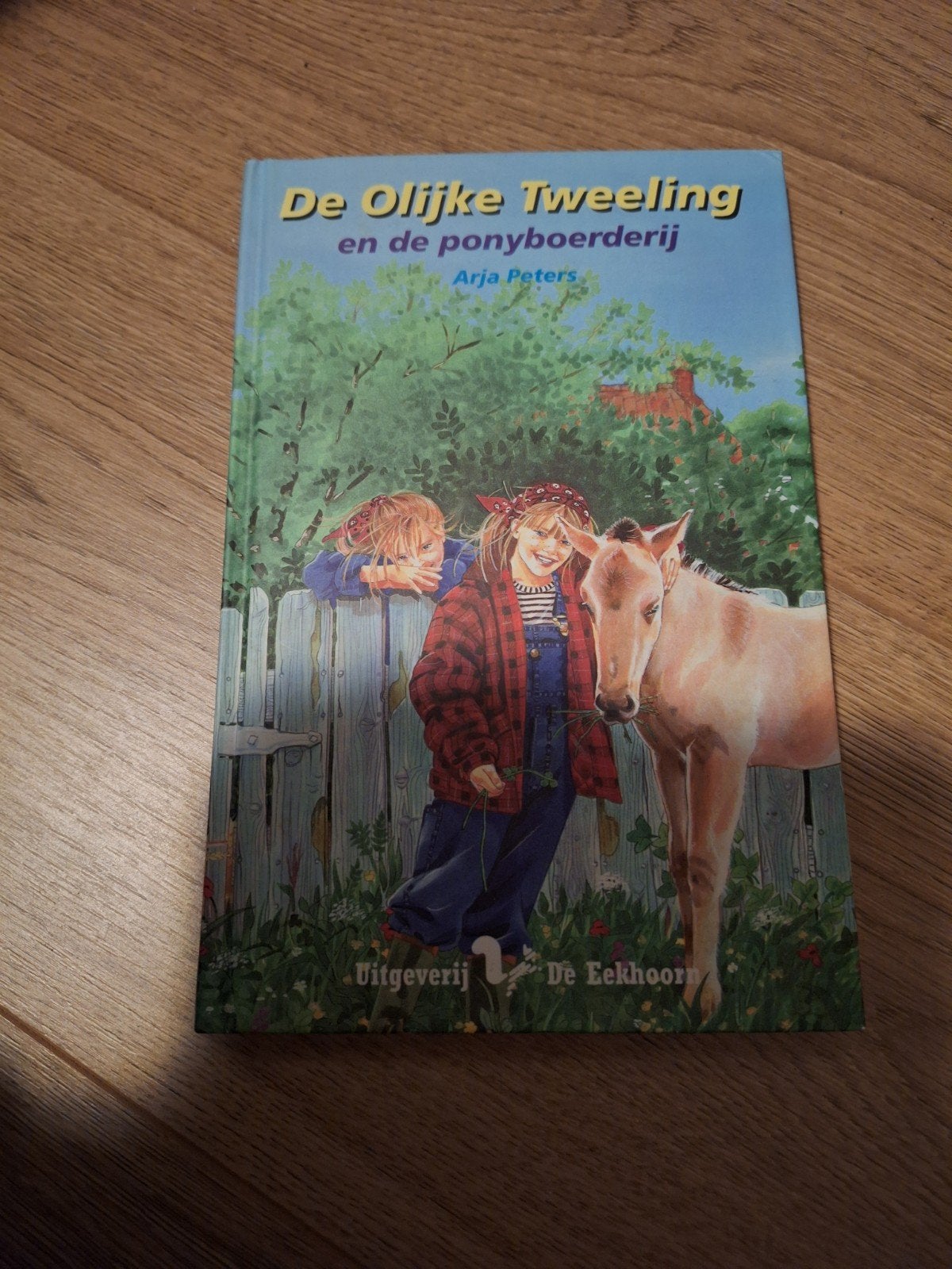 De olijke tweeling en de ponyboerderij, Boeken, Ophalen of Verzenden, Zo goed als nieuw, Noord-Brabant