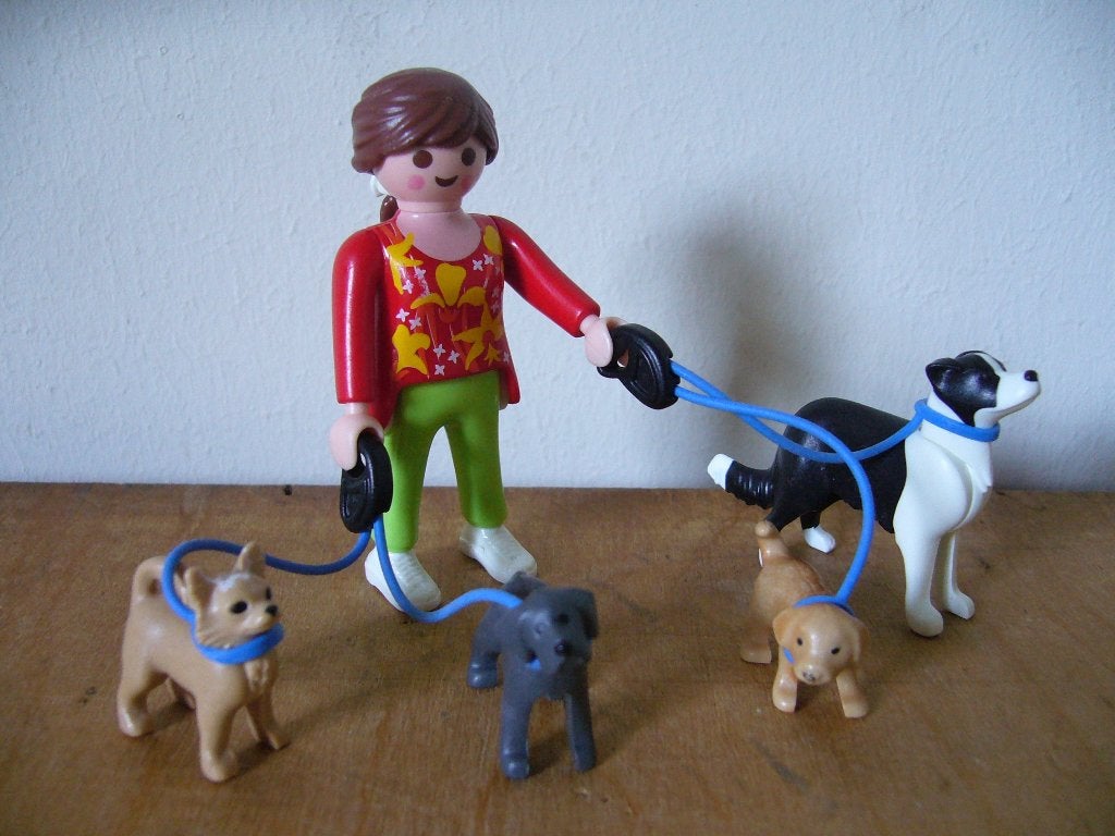 Playmobil 5380 hondenoppas, Ophalen of Verzenden, Gebruikt, Complete set, Figuren