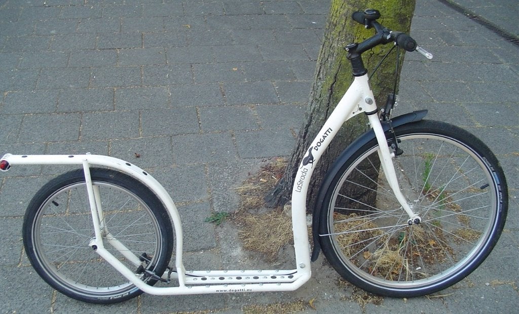 Honden step  (voor volwassenen) DEN HAAG, Ophalen, Gebruikt, Gewone step, La Strada