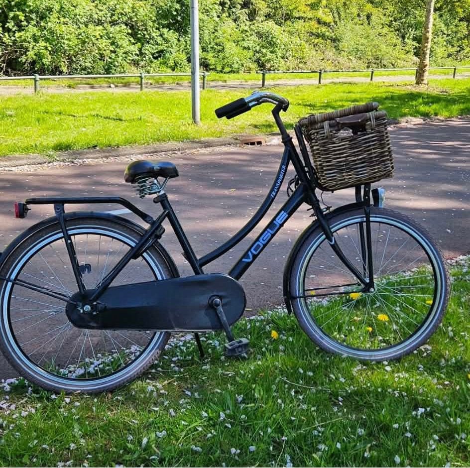 24" double storage bike, Ophalen of Verzenden, Gebruikt
