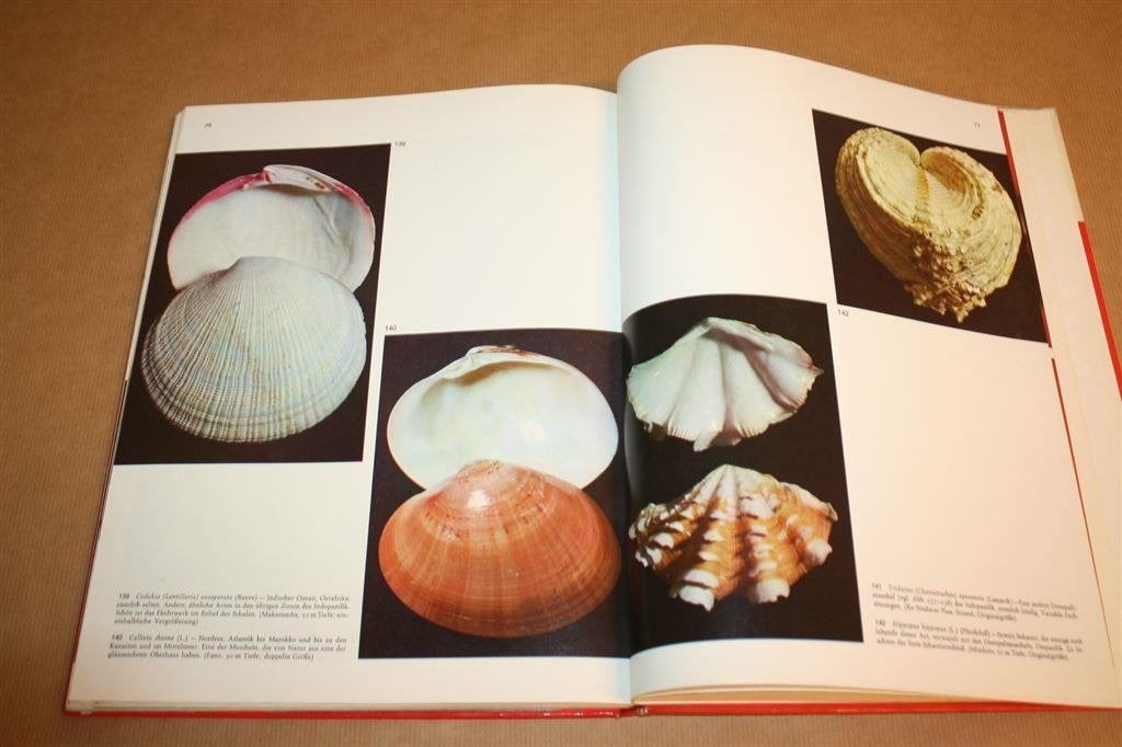 Boek: Muscheln [Schelpdieren] Rijk geïllustreerd, Ophalen of Verzenden, Fossiel