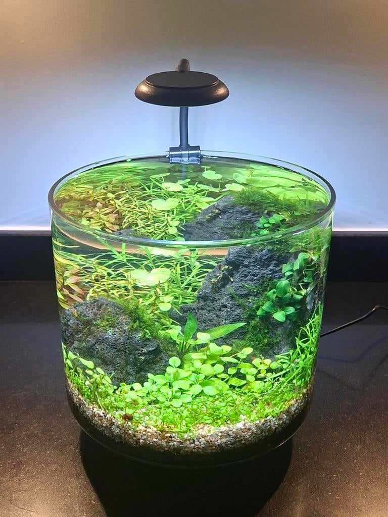 Aquarium ecosysteem - Desktop aquarium, Dieren en Toebehoren, Vissen | Aquaria en Toebehoren, Ophalen