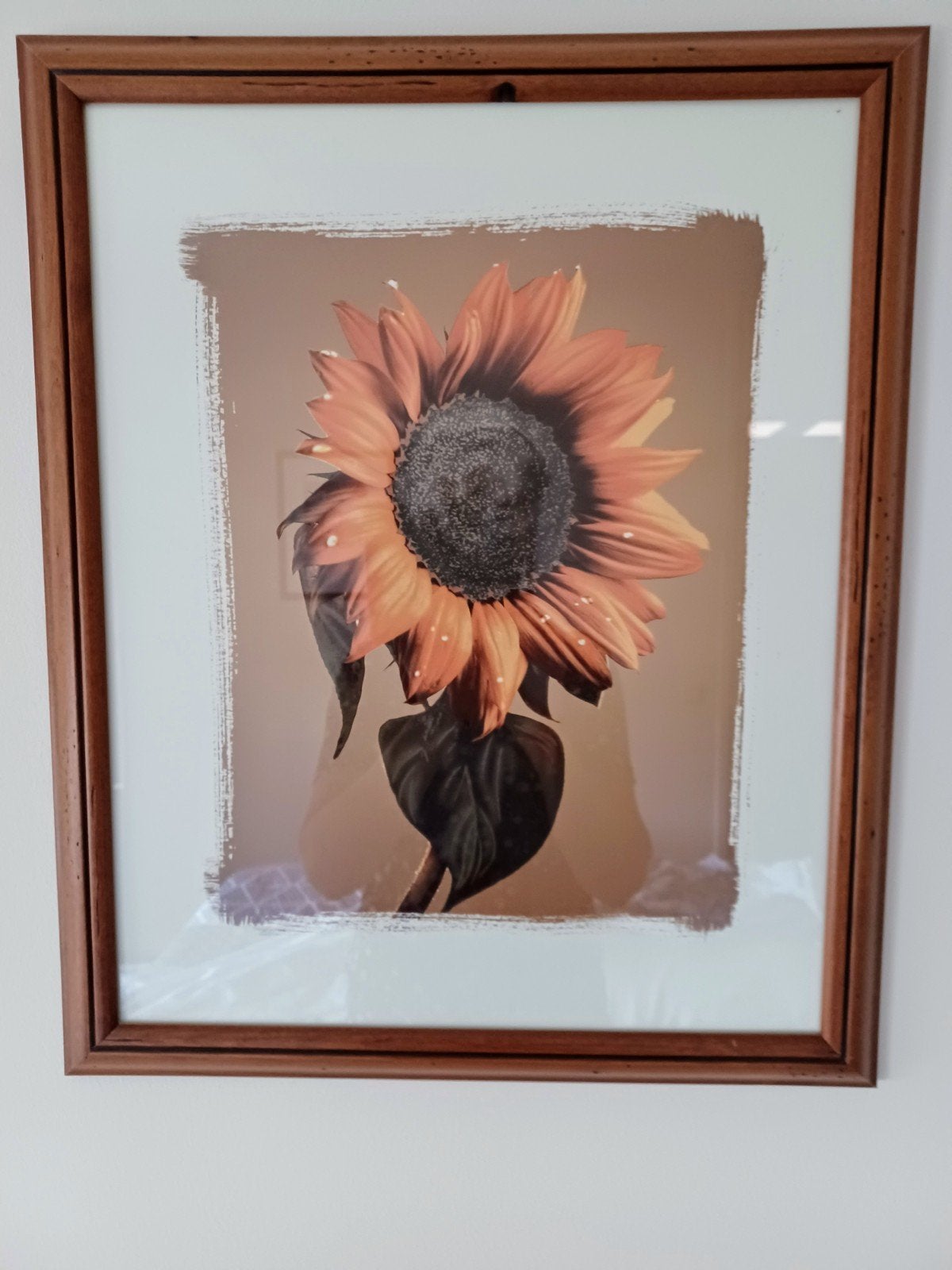 Mooi schilderij 🌼, Huis en Inrichting, Ophalen, 50 – 75, Minder dan 50 cm, Print