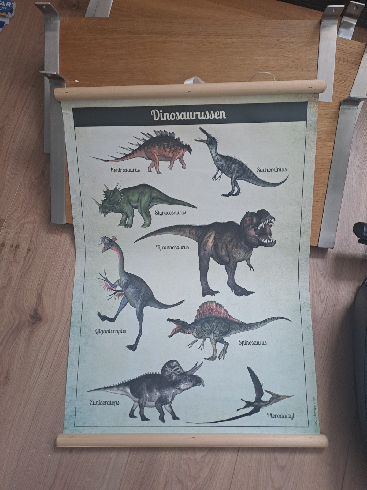 schoolplaat dinosaurussen - dubbelzijdig, Ophalen of Verzenden, Natuur en Biologie