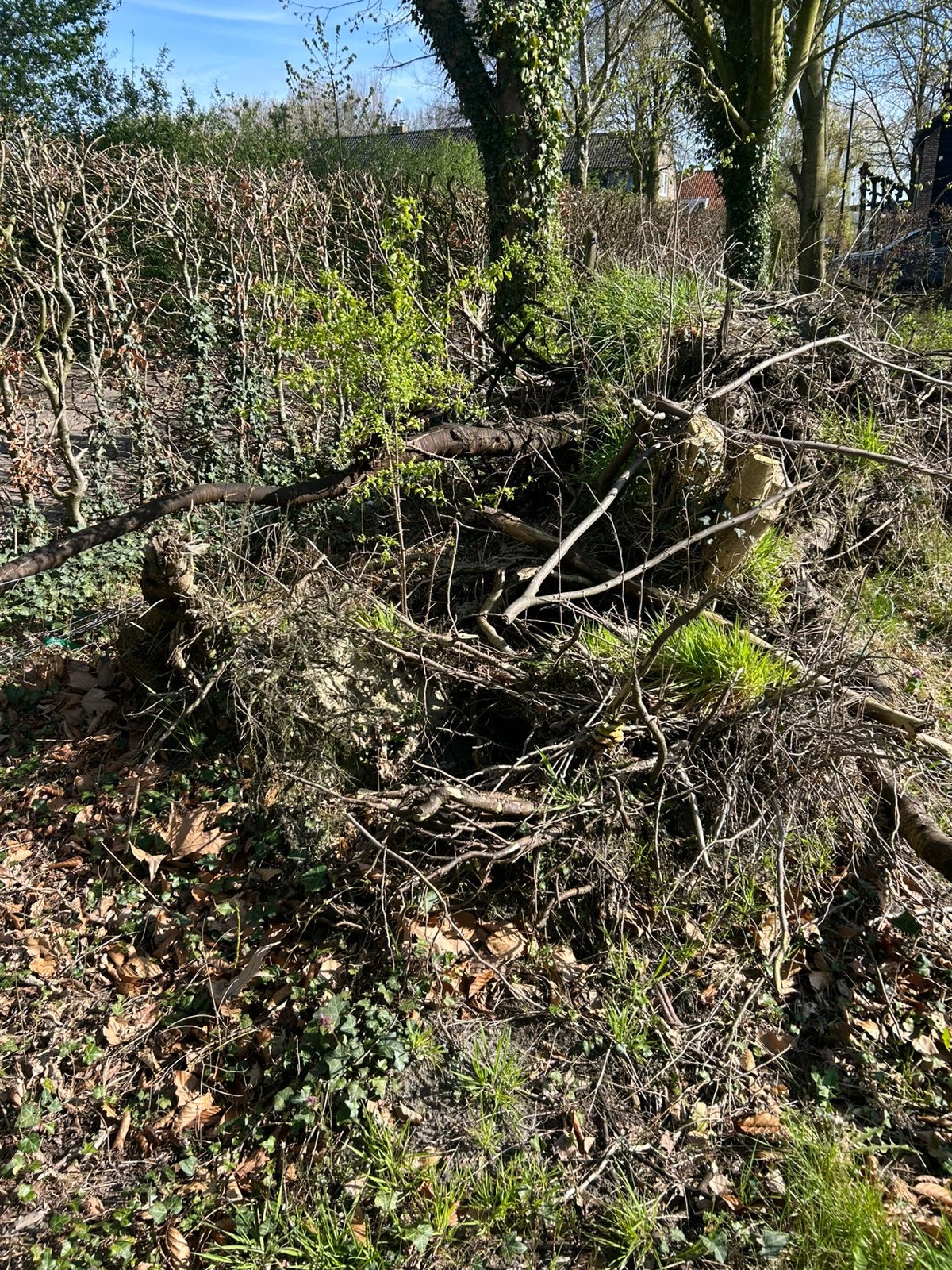 Oprnhaardhout/tuinhout, Minder dan 3 m³, Ophalen