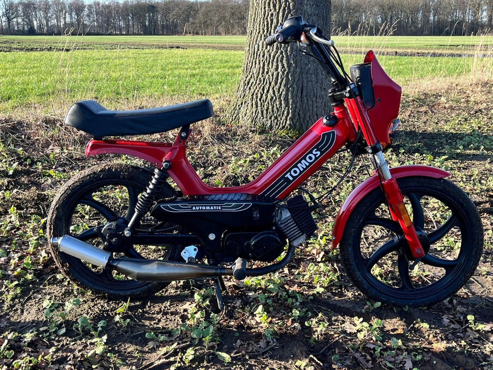 Tomos quadro, Ophalen, Gebruikt, Maximaal 45 km/u, 50 cc