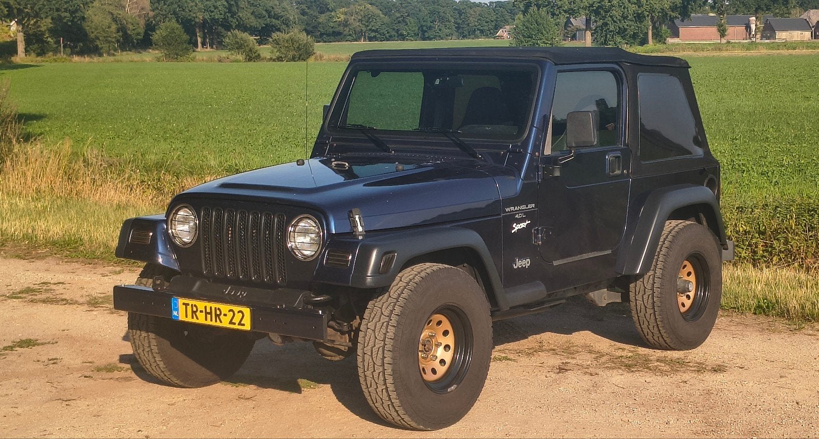 Jeep Wrangler TJ 4.0 1998 Orig.NL Zeer netjes, Euro 2, 450 kg, Zwart, 1125 kg