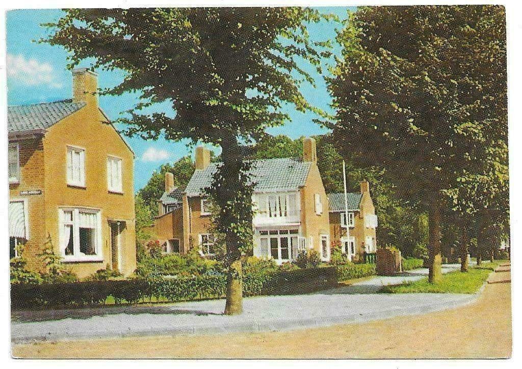 AK Oosterwolde - Hoogengaardelaan, Verzenden, 1960 tot 1980, Ongelopen, Overijssel