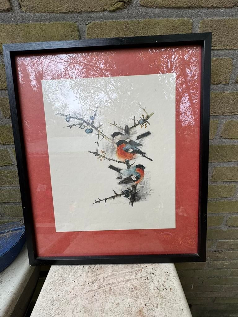 Goud vink schilderrijen, Ophalen, Zo goed als nieuw, Minder dan 50 cm, Schilderij