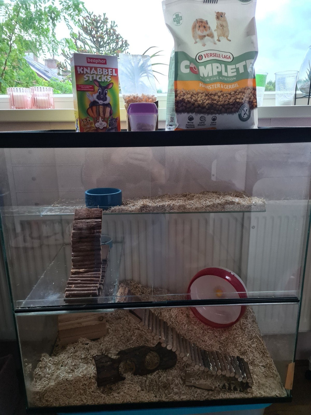 Goudhamster, Ophalen, 60 tot 90 cm, Minder dan 75 cm, Zo goed als nieuw