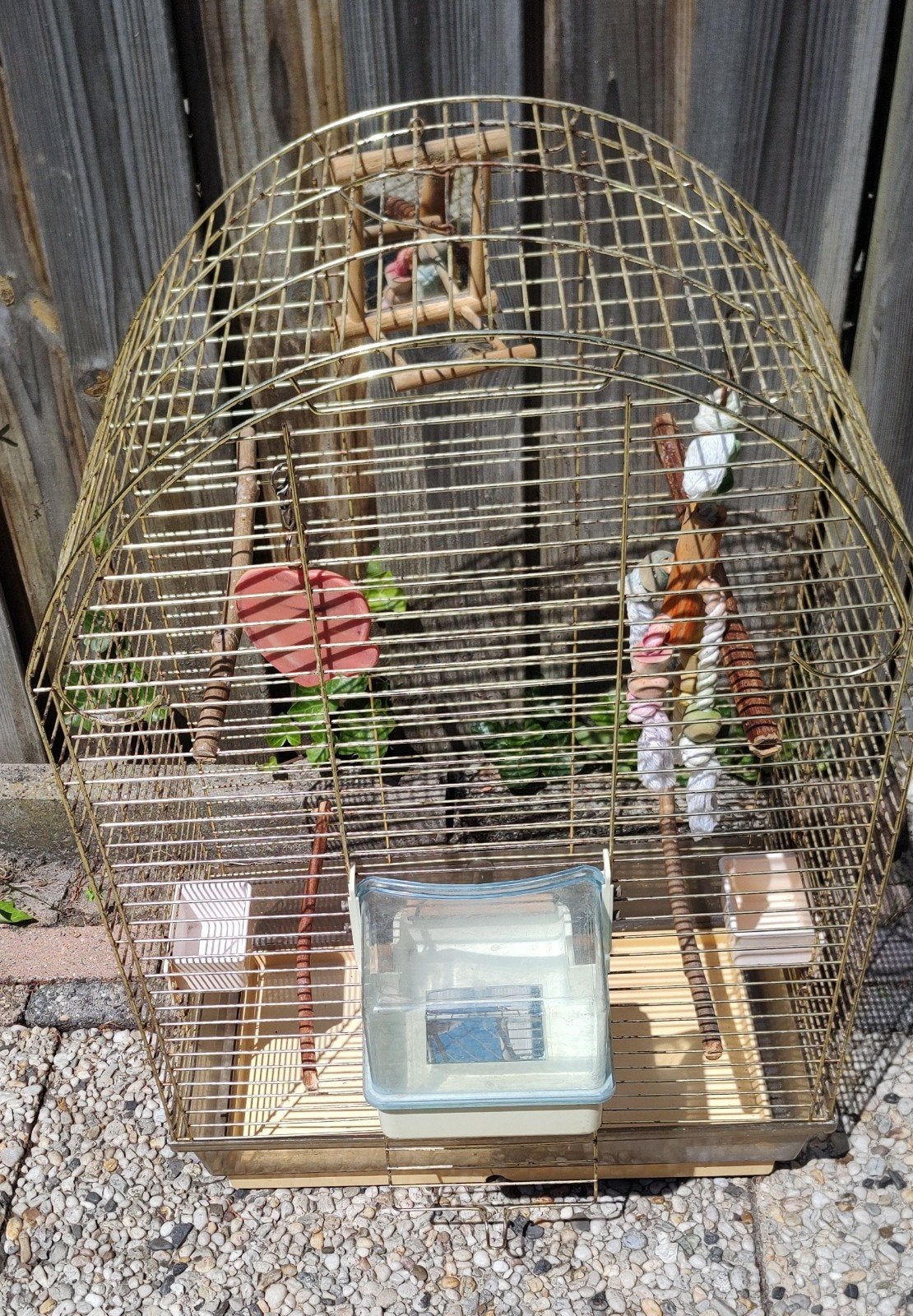 Vogel kooi met stokken, voer en water bakjes e.d., Ophalen, Metaal, Vogelkooi
