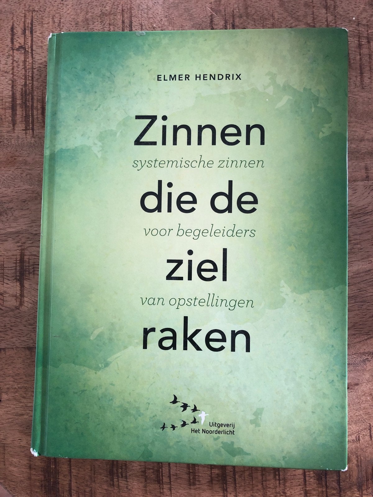 Boek: Zinnen die de ziel raken - Elmer Hendrix, Ophalen of Verzenden, Zo goed als nieuw, Nederland