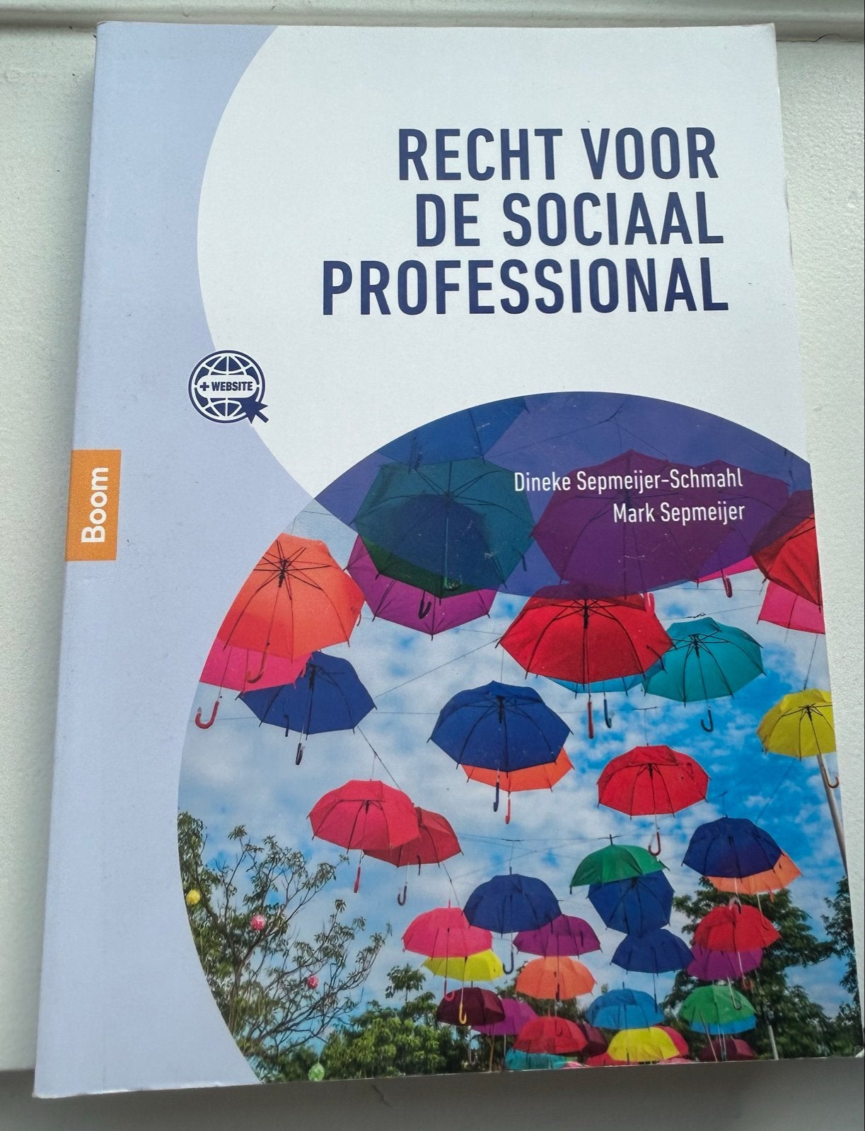 Recht voor de Sociaal Professional - Studieboek, Boeken, Ophalen of Verzenden, Gamma, Zo goed als nieuw, HBO