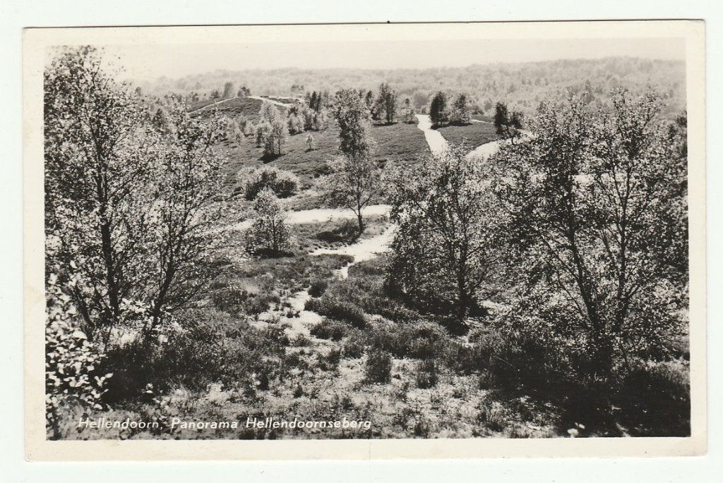Hellendoorn - Panorama Hellendoornseberg, Ophalen of Verzenden, 1940 tot 1960, Gelopen, Overijssel
