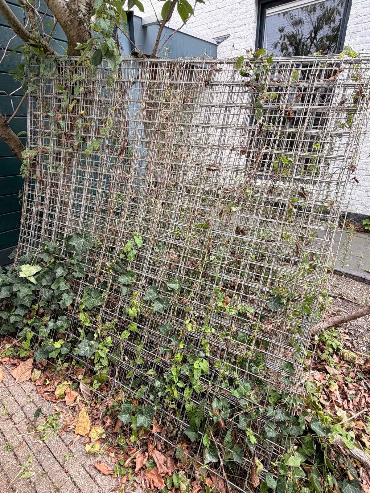 GRATIS: Gaaspaneel Verzinkt 180x180cm (11 stuks), Tuin en Terras, Ophalen, Gebruikt, IJzer, Gaashekwerk
