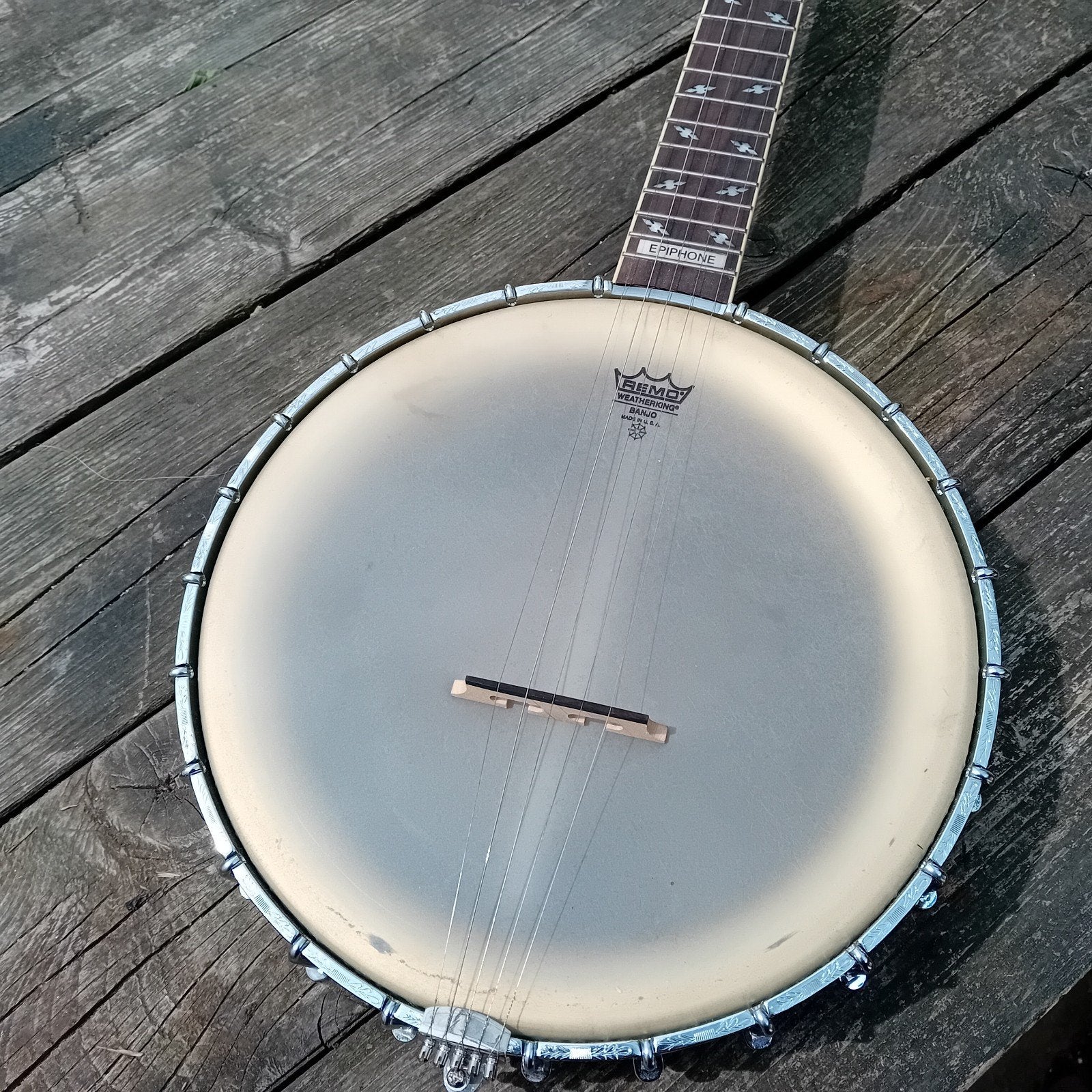 Open back 5-string banjo, Muziek en Instrumenten, Snaarinstrumenten | Banjo's, Ophalen