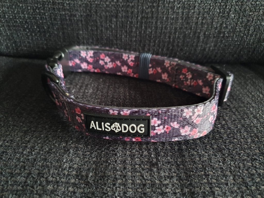 Alisdog set incl extra's, Dieren en Toebehoren, Ophalen of Verzenden, Nieuw