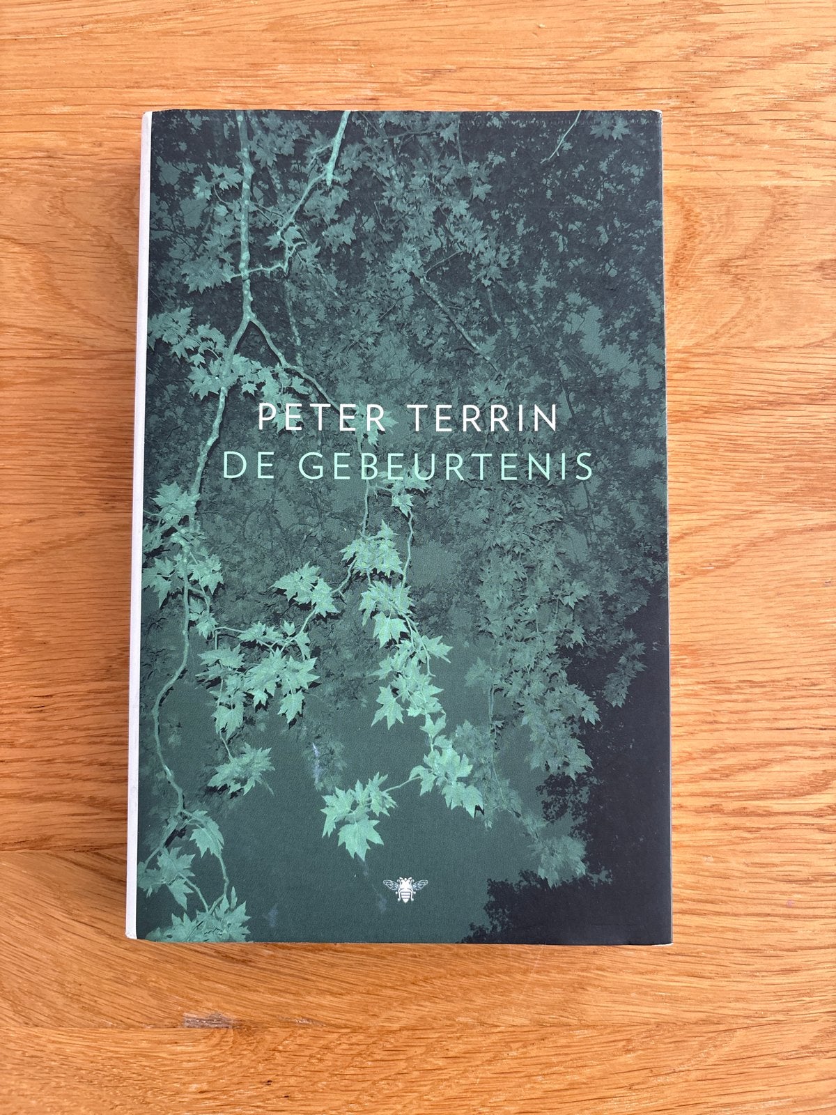 Peter Terrin - De Gebeurtenis, Boeken, Romans, Zo goed als nieuw, België, Ophalen of Verzenden